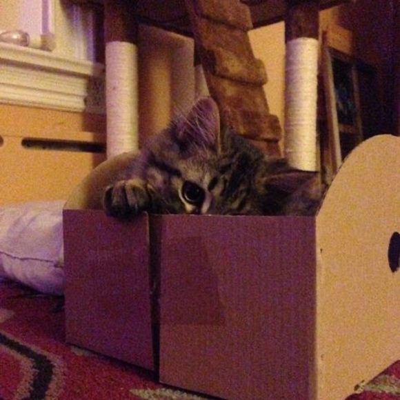 Meet your Posher, Jeremy - Picture 1 of 1